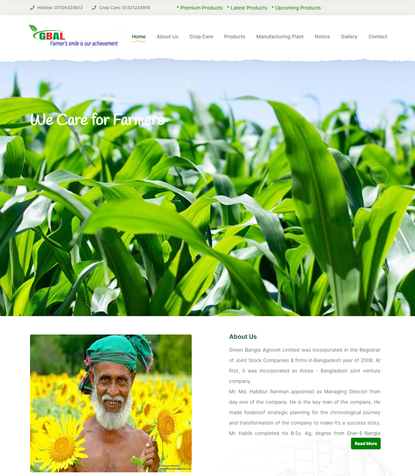 Corporate Business Website
